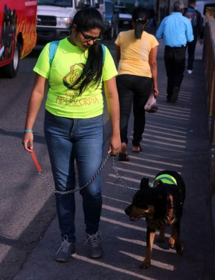 FOTOS: Procesión de la Virgen de Suyapa en la capital de Honduras