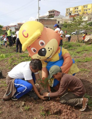 Escuelas amigables dejan su huella con reforestación de área verde
