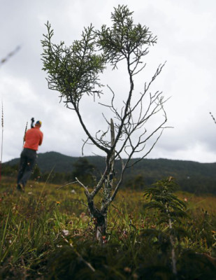 La Esperanza, un encuentro con la naturaleza