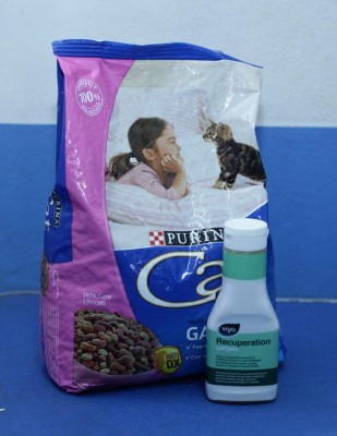 Su gato y perro no están exentos de alergias