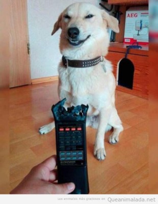 Los mejores chistes cortos para reírse a carcajadas