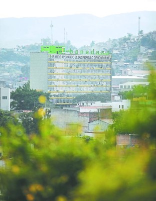Honduras: Banadesa reporta propiedades sin sustento legal