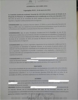 ¿Qué contiene la carta de despido a empleados de la DEI?