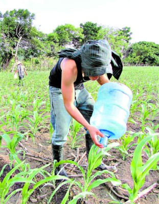 El hambre acecha a familias del sector sur de El Paraíso