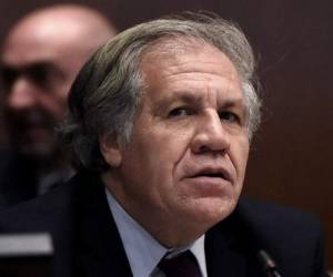 Luis Almagro, secretario general de la OEA. Foto AFP