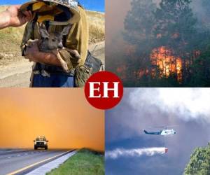 Tras varios días de confinamiento por la pandemia del Covid-19 y con ello, la reducción de la contaminación ambiental, este jueves los bomberos de la franja noreste de Florida se enfrentaron contra un feroz incendio forestal que se ha extendido por cientos de kilómetros logrando opacar la pureza del aire que prevalecía. Fotos: AP