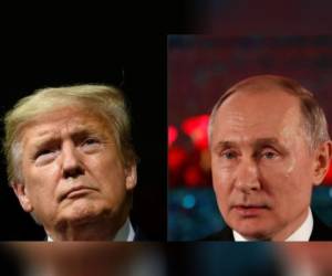 Los comentarios de Biegun se producen en medio de nuevas tensiones entre Donald Trump y Vladimir Putin. Foto: AFP