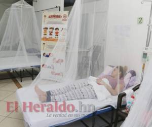 Una veintena de muertes sospechosas por dengue estarían por confirmarse en el país, mientras los nuevos casos siguen en aumento. Foto: Archivo/ EL HERALDO