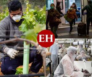 Por tercer día consecutivo 3,889,000 millones de españoles han salido del confinamiento absoluto impuesto por las autoridades como media preventiva ante del Covid-19.Los ciudadanos lentamente regresan a sus labores. Fotos: Agencia AFP| AP.