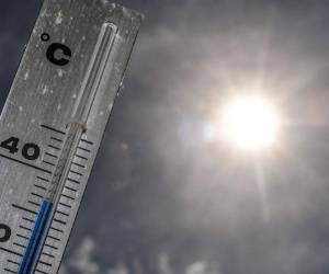 'Proyectamos que los climas más cálidos o más húmedos no retrasarán el virus en la etapa inicial de la pandemia', dijo Rachel Baker, del Instituto Ambiental de Princeton (PEI por su sigla en inglés). Foto: AFP