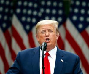 'El presidente Trump está enfocado en que los estadounidenses vuelvan a trabajar tan pronto como sea posible', indicó el funcionario, que pidió no ser identificado. Foto: AFP