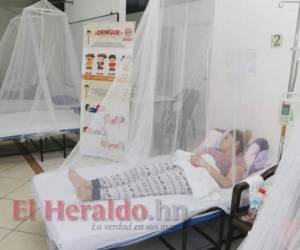 El doctor Harry Bock, titular de la Región Metropolitana de Salud (RMS), contabilizó en la capital 4,350 casos de dengue no grave y 137 de grave.