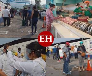 Bajo fuertes protocolos de seguridad abrió sus puertas este miércoles la Feria del Agricultor y el Artesano, ubicada en Tegucigalpa, para atender a cientos de capitalinos que necesitan comprar alimentos durante este período de confinamiento a causa del Covid-19. Fotos: Alex Pérez/ EL HERALDO