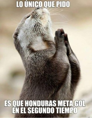 Los divertidos memes del partido entre Honduras y Argentina