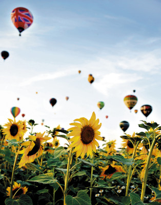 Festival aerostático mundial