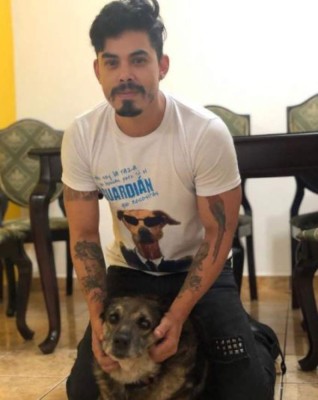 Las mascotas de los famosos hondureños: gatos y perros mimados