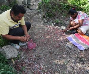 Una hombre y una mujer recogen frijoles de alta toxicidad tirados en un predio privado. (Foto: Antonio Mendoza)