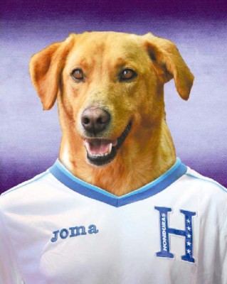 El mundial se pone de 'perros”