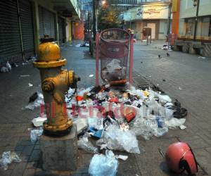 Hasta 5 mil lempiras es la multa por arrojar basura en lugares públicos de la capital de Honduras.