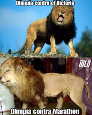 Destrozan al Olimpia y a Troglio: Los memes que dejó la jornada 9 de la Liga Nacional &nbsp;&nbsp;