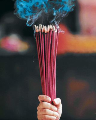 El mundo festeja el año nuevo lunar 2013