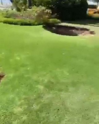 Socavones y pánico, los daños que deja hasta el momento el sismo de 7.7