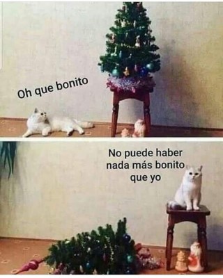 Los mejores y divertidos memes para compartir en la fiesta de Navidad