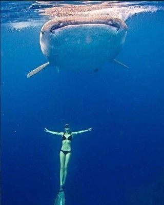 Oceans Ramsey, la sexy bióloga que te hará cambiar la forma de ver a los tiburones