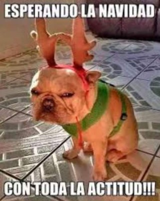 Los mejores y divertidos memes para compartir en la fiesta de Navidad