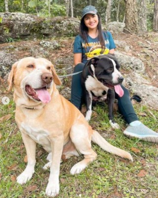 Las mascotas de los famosos hondureños: gatos y perros mimados