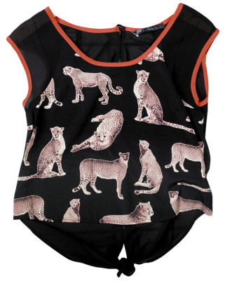 Animales al descubierto