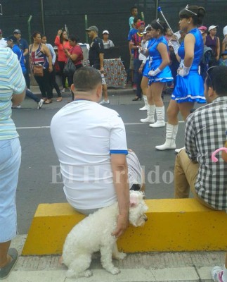 Galería de fotos del inicio del desfile en Tegucigalpa