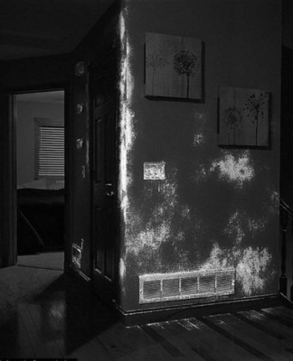 FOTOS: Espeluznantes escenas de crimen detrás de casas 'normales'&nbsp;&nbsp;