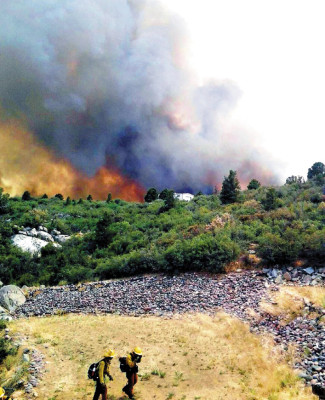 Tragedia al morir 19 bomberos en voraz incendio en Arizona