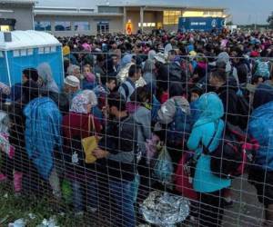 Video muestra la forma 'inhumana' en que alimentan a migrantes en campamento de Hungría.