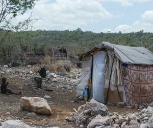 Se han identificado al menos tres ciudades de carpas.