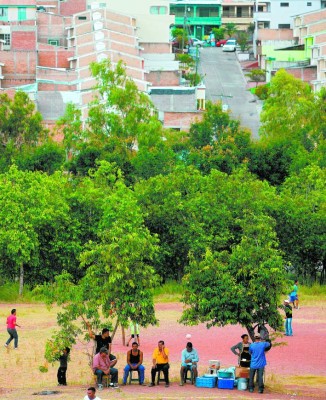 Con lotificación de áreas verdes regulan venta ilegal de predios