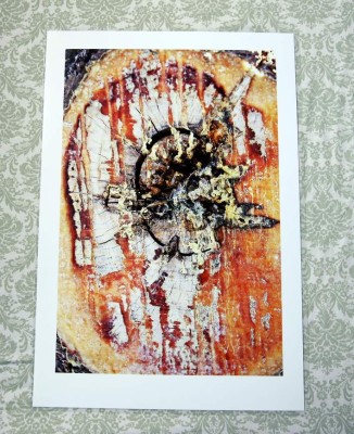 Francisco Alvarado en la bienal del Bronx