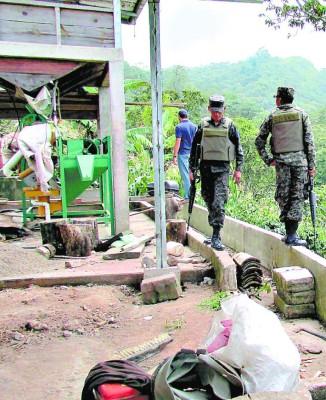 Realizan inspección en zonas cafetaleras