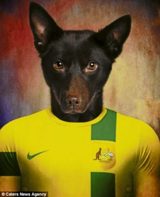 El mundial se pone de 'perros”