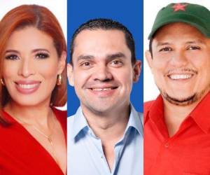 Estos son los candidatos a diputados que están consolidando su curul, entre nuevos rostros que llegan al Congreso Nacional.