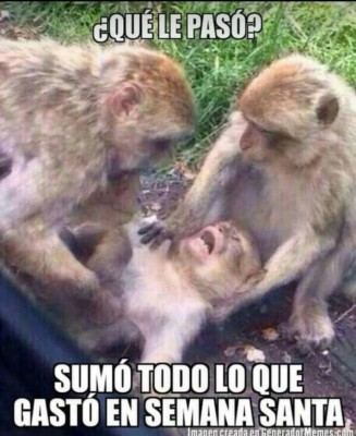 Catrachistes, los mejores chistes para reír este fin de semana