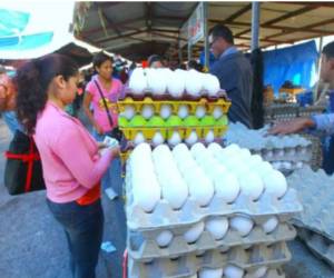 El precio del cartón de huevos aumentó alrededor de L14 y ya se comercializa entre L120 y L130 en mercados y ferias de agricultores de la capital.