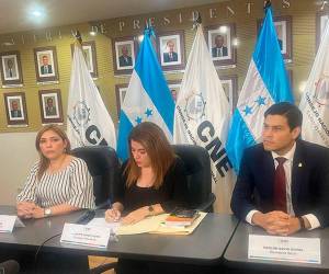 El pleno del Consejo Nacional Electoral aprobó por mayoría los pliegos de licitación del TREP.