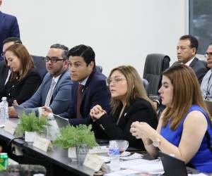 El Consejo Nacional Electoral recordó a las FF AA su rol constitucional de proteger las elecciones.