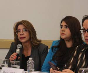 La exdirectora de fiscales, Danelia Ferrera, y la exministra de Seguridad, Marcela Castañeda, figuran entre las profesionales del derecho que participaron en la elaboración del informe.