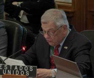 Michael Kozak, alto funcionario del Departamento de Estado de Estados Unidos, durante su intervención en la reunión extraordinaria del Consejo Permanente de la OEA.