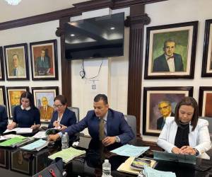 La Sala Constitucional admitió a trámite los recursos interpuestos contra el decreto impulsado por Luis Redondo.