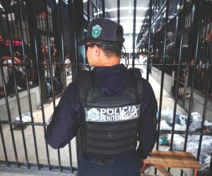 Las reformas penales y penitenciarias aprobadas por el Congreso Nacional contemplan la creación de una Fuerza Especial Penitenciaria para reforzar la seguridad y el control en las cárceles de máxima seguridad.