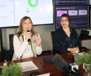 El memorado fue firmado únicamente por las consejeras Ana Paola Hall y Cossette López.